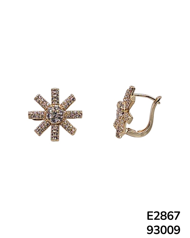 E2867 - Aretes de Estrella Centelleante