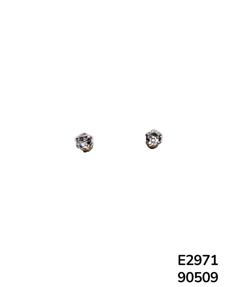 E2971 - Aretes de Acero Inoxidable con Cristal Atemporales