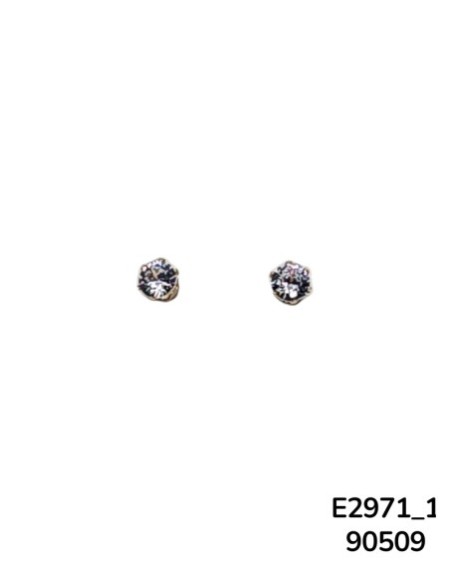 E2971-1 - Aretes de Acero Inoxidable con Cristal