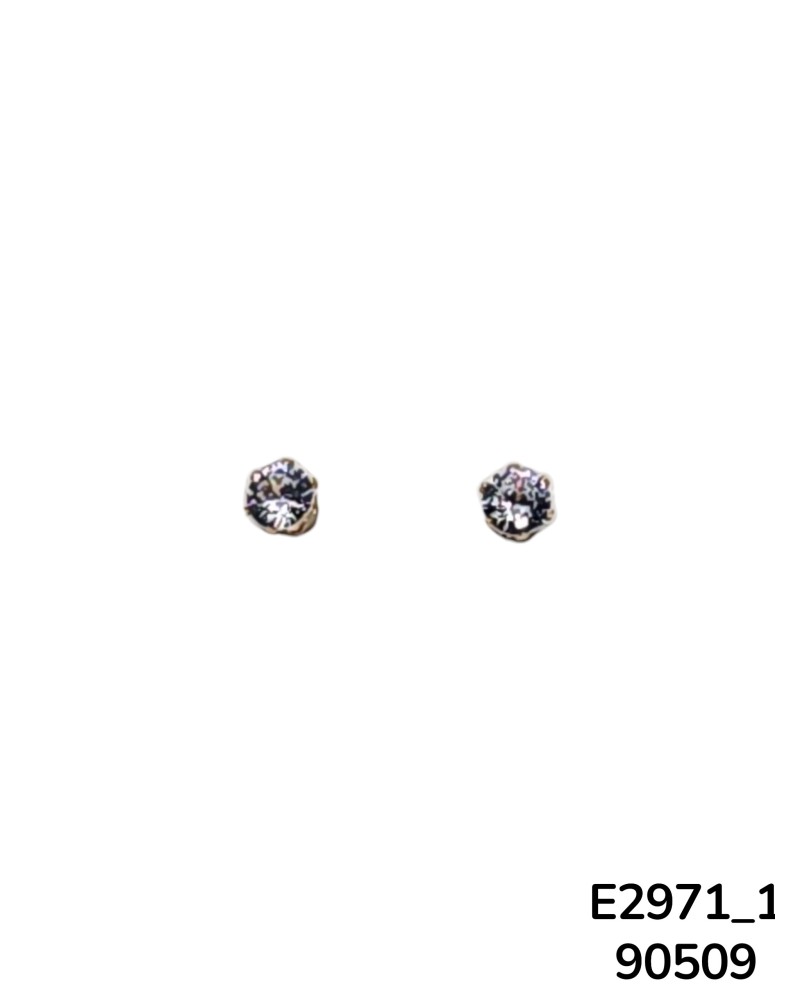 E2971-1 - Aretes de Acero Inoxidable con Cristal