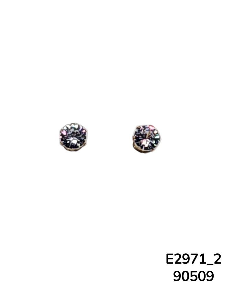 E2971-2 - Aretes Elegantes de Acero Inoxidable con Cristal