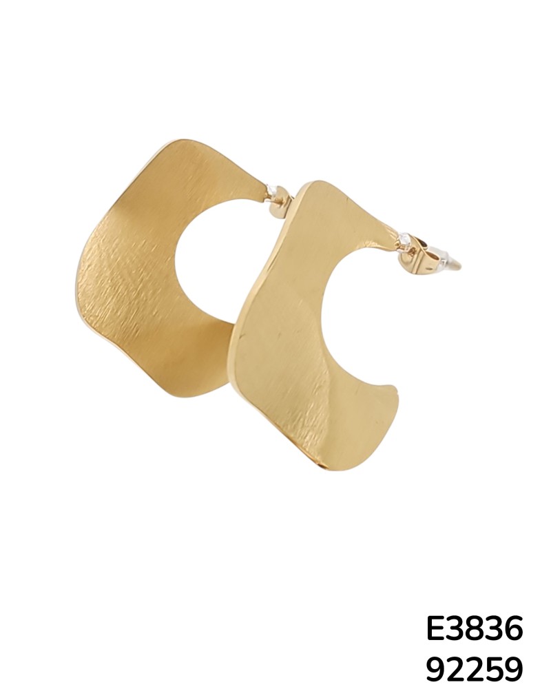 E3836 – Aretes Avant-Garde de Acero Inoxidable