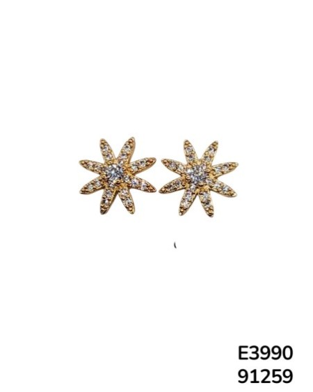 E3990 – Aretes Stud en Forma de Estrella Brillante