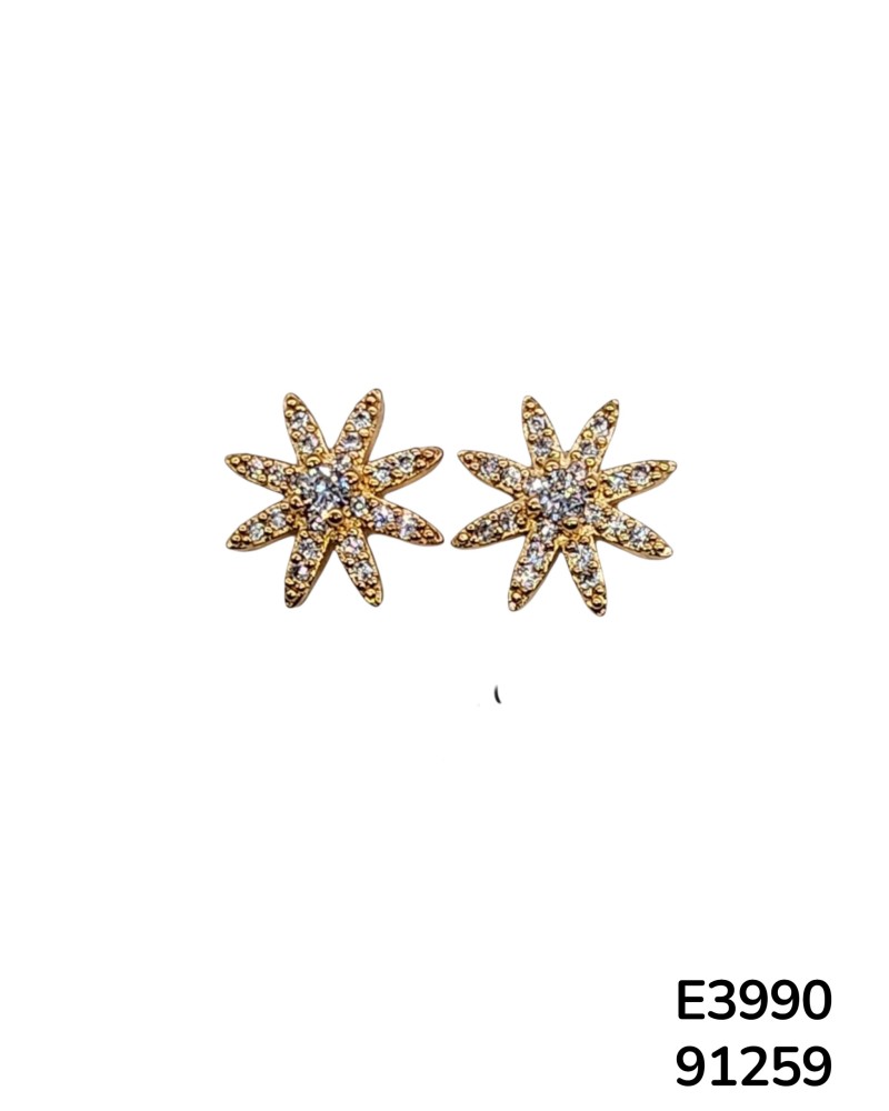 E3990 – Aretes Stud en Forma de Estrella Brillante