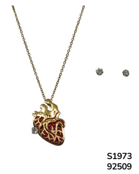 S1973 Conjunto de Cadena con Dije de Corazón Anatómico color rojo y aretes de cristal