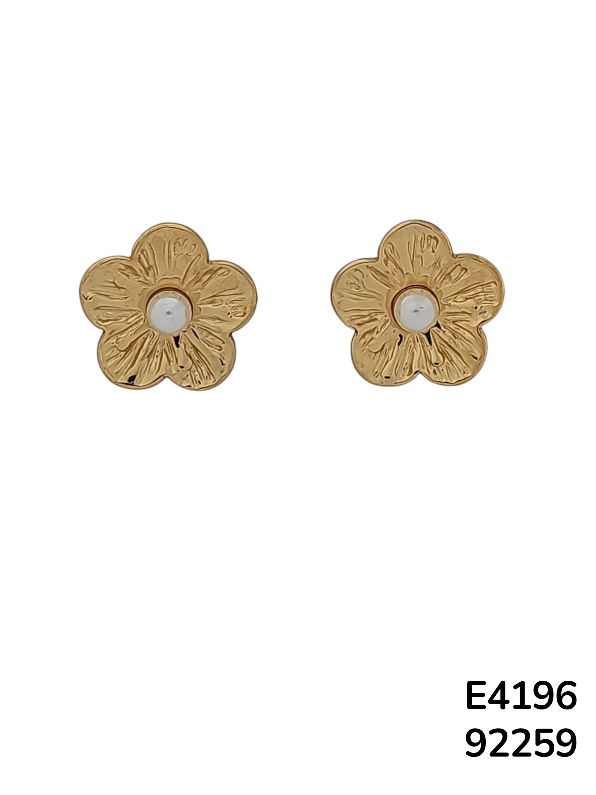 E4196