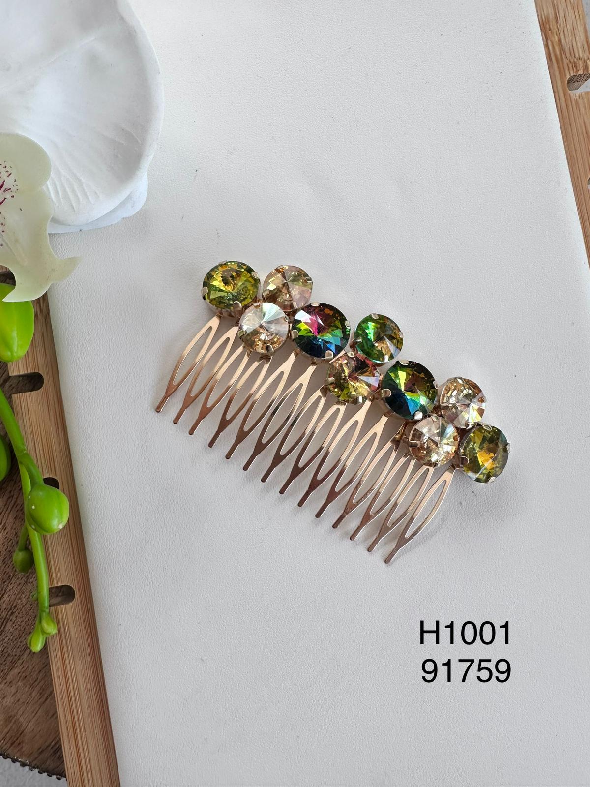 H1001